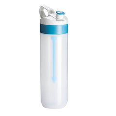 Customized Fruit Infuser Bottle for Hydration